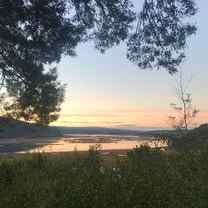 View from the university-owned arboretum at Teja Norte
