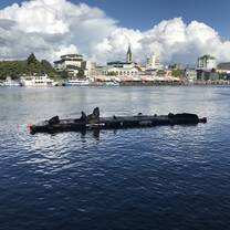 City of Valdivia with sea lions resting in the river