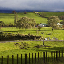 New Zealand Farm
