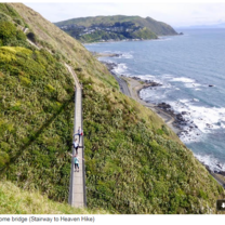 New Zealand Coast