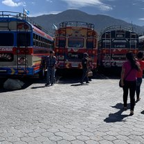 Chicken buses