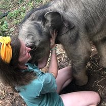 Bathing with baby elephants.