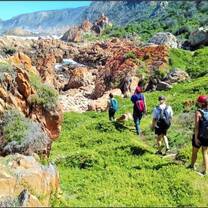 You will assist with intertidal baboon foraging research by participating in weekly hiking surveys at four different sites along the Garden Route coastline. During these hikes we aim to record the number and location of baboon scats, as well as collect them for subsequent diet analysis. 