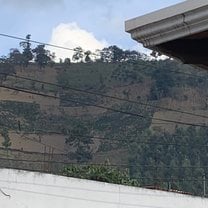 Coffee farmers plots