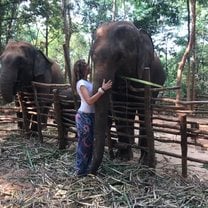 Wildlife in Thailand. A trip of a lifetime!