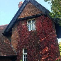 St. Stephen's Green house with vines