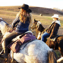 Home on the Range