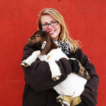 Who doesn't love baby goats?