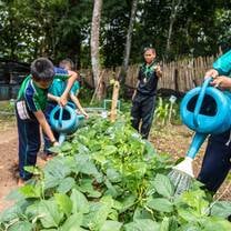Permaculture