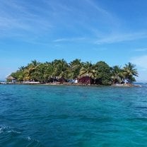 The ReefCI island