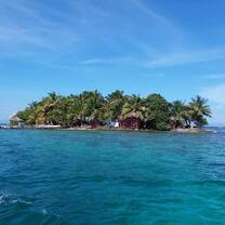The ReefCI island