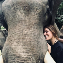 Loving on Thailand's majestic elephants