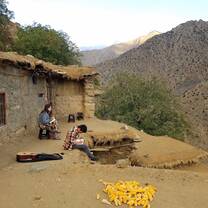 Village Homestay