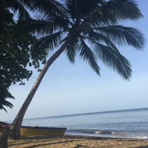 Pacia Life Coaching in Puerto Rico