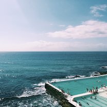 Bondi Icebergs 