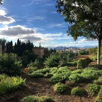 View of Granada from the Alhambra gardens