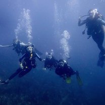myself and three others posing underwater
