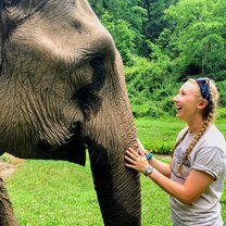 Face to face with Thailand's gentle giants