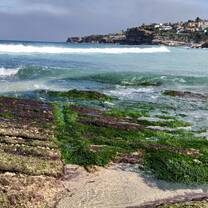 My Favorite Beach-Tamarama