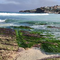 My Favorite Beach-Tamarama