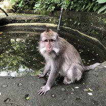 This was in Bali when we explored the Monkey Forest filled with lil' monkeys