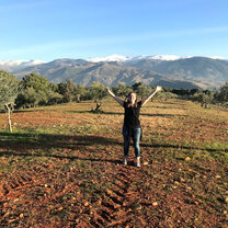 The olive groves around the Alhambra. 