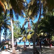 Sun lightly filters through the palm leaves where people play volleyball. 