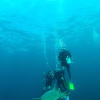Scuba