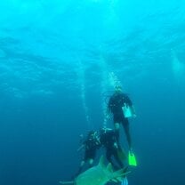 Scuba