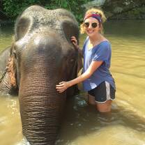 we got to bathe an elephant, how unreal is that? 