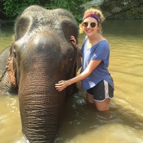 we got to bathe an elephant, how unreal is that? 
