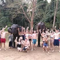 Elephant sanctuary