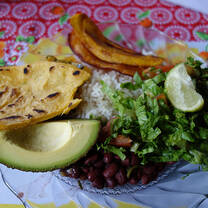 A plate of food from Costa Rica