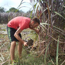 working on the field