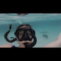 Please excuse my wide eyes but...I was swimming with sharks!!