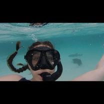 Please excuse my wide eyes but...I was swimming with sharks!!