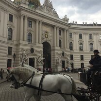 The Hofburg with Horse-Drawn Carriage