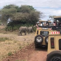 Our two-day safari trip through 2 national parks in Arusha