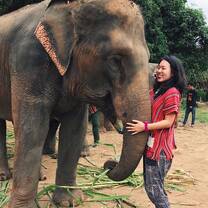 Elephant Sanctuary