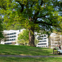 University of Stirling