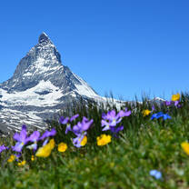 Picturesque photo of Switzerland nature and mountain