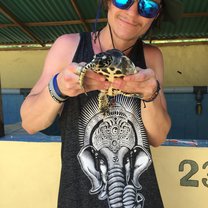 Turtle time