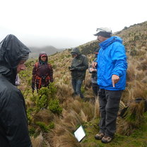 Learning about plant adaptations in the Paramo.