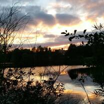 A walk around the pond.