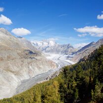 The Aletsch Glacier seen on a field trip in the Swiss Alps