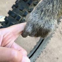 A new friend