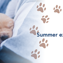 Veterinary Summer Internship