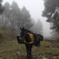 High Atlas Mountains