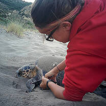 Volunteer in Greece with Archelon Group