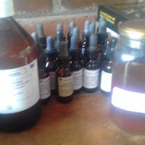 Herbal preparations